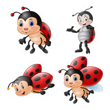 Cartoon funny ladybug illustration collections