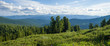 Panorama Forest Landscape. Siberian cedars on the background of mountains in Ergaki Park. Mountains Western Sayan