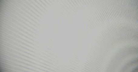 Two pieces of printed plastic sheets forming abstract moiré patterns. Static wide shot.