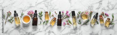 Fotografía Flat lay composition with bottles of natural tea tree oil and space for text on