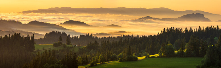 Wall Mural - a beautiful mountain view. mountains and green hills emerging from the morning mists illuminated by 