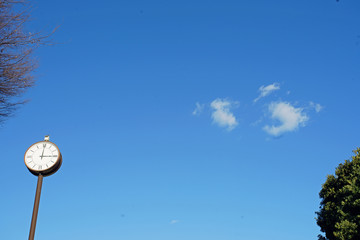 The clock tower of the park and green tree of blue sky which it was fine