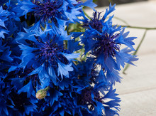 Bouquet Of Blue Cornflowers.
