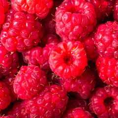 Many berries of ripe raspberry close up. Macro photo of raspberry, red berry background