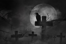Scary Background The Black Crow Perched On Cemetery Cross In Fog Dark And Light With Dark Silhouette In Large Moon And Abandoned Large Cities, Concept Of Horror And Halloween
