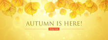 Autumn Background With Falling Yellow Leaves In The Foreground.Banner With A Seasonal Sale