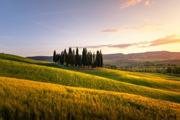 Tuscany countryside. near Pienza, during springtime. Pienza, Tuscany, Italy