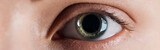 Fototapeta  - close up view of woman clear eye looking at camera, panoramic shot
