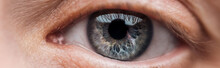 Close Up View Of Human Blue Eye Looking At Camera, Panoramic Shot