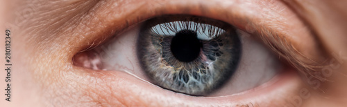 Fotomural close up view of human blue eye looking at camera, panoramic shot