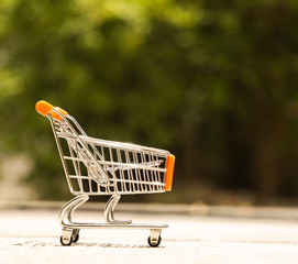 Shopping Cart The concept of shopping and buying from the Internet