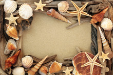 Abstract Seashell And Driftwood Background Border On Beach Sand With Copy Space.