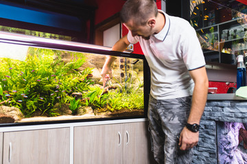 Wall Mural - Man cleaning aquarium and cutting underwater plants.