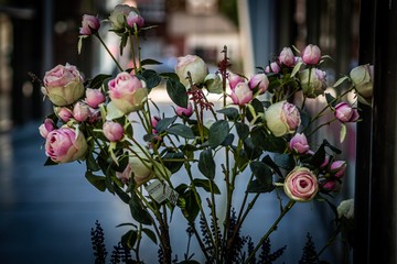 Wall Mural - flowers in the garden