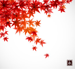 red leaves of japanese maple in fall. traditional japanese ink wash painting sumi-e.