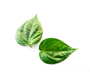 Studio shot close-up two raw betel leaves or paan isolated on white