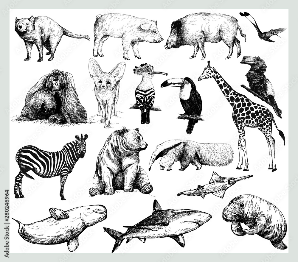 Big set of hand drawn sketch style wild animals isolated on white ...