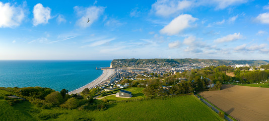 Poster - Panorama sur la ville de Fécamp avec un oiseau