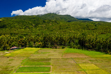 Wall Mural - Aerial view of fertile farmland and fields on the slops of Mount Mambajao on the volcanic island of Camiguin