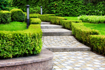 Paved cobblestone trail in a beautiful park, framed by cropped bushes in the rays of soft light