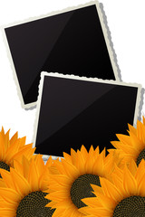 Sunflowers and photo frame