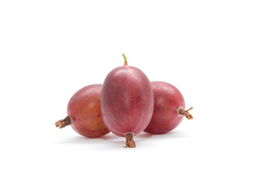 Canvas Print - Gooseberries. Fresh gooseberries isolated with clipping path