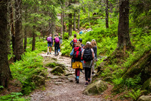 Young Hikers In Forest Heading Towards High Tatras Peak