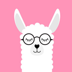 Sticker - Vector flat cartoon white llama alpaca in glasses isolated on pink background