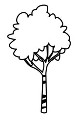 Poster - Nature tree with leaves isolated cartoon in black and white