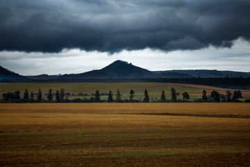 Beautiful summer time in Slovakia on the way to High Tatras. Yellow beveled field with line of threes and mountain with dark blue clouds in the background