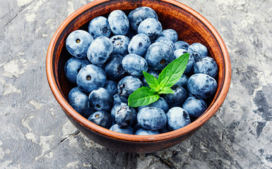 Poster - Berries blueberries or bilberry