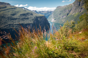 Wall Mural - view over geiranger fjord