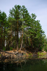 Coniferous forest is reflected in a lake with granite shores