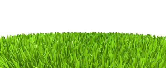 Wall Mural - Green grass. background texture. fresh spring green grass. 3d rendering