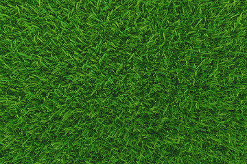 Wall Mural - Green grass. background texture. fresh spring green grass. 3d rendering