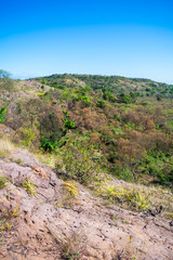 Wall Mural - Caatinga landscape in Oeiras, Piaui - Brazil