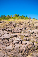 Wall Mural - Eroded rocks and Caatinga landscape in Oeiras, Piaui - Brazil