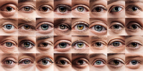 collage with human beautiful eyes of different colors