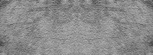 Texture Of Gray Carpet Background.