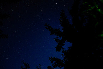 Wall Mural - starry night sky stars nature