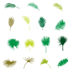 Aufkleber - Vector hand drawn flat tropical plants set