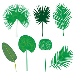 Aufkleber - Vector hand drawn flat tropical plants set