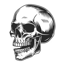 Vintage Monochrome Human Skull