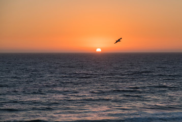 Una bonita puesta de sol, un día despejado, en la costa Atlántica, en Portugal