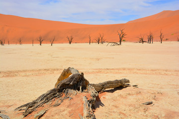 Deadvlei is a white clay pan located near the more famous salt pan of Sossusvlei, inside the Namib-Naukluft Park in Namibia. Also written DeadVlei or Dead Vlei, its name means 