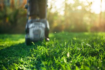 Lawn mower cutting green grass in backyard.Gardening background