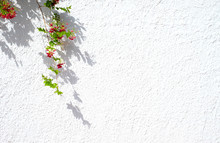 White Rustic Wall With Flowers And Shade, Pastoral Floral Design Element.
