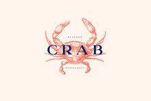 Logo Template With An Image Of A Crab Drawn By Graphic Lines On A Light Background. Retro Emblem For The Menu Of Fish Restaurants, Markets And Shops. Vector Vintage Engraving Illustration.