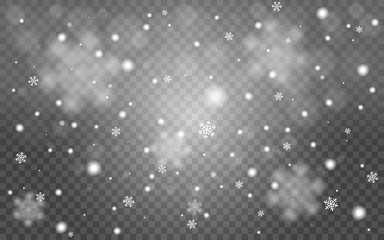 Wall Mural - Falling snowflakes. Realistic snow on transparent background. White blurred flakes. Winter template for banner, poster, web. Christmas texture for advertisement. Vector illustration