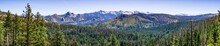 Panoramic View Of Wilderness Areas In Yosemite National Park With Evergreen Forests Covering Valleys And Snow Capped Mountains Visible In The Background; Sierra Nevada Mountains, California